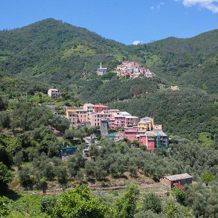 Le Case Della Lizza - Casa Rossa Levanto Eksteriør bilde