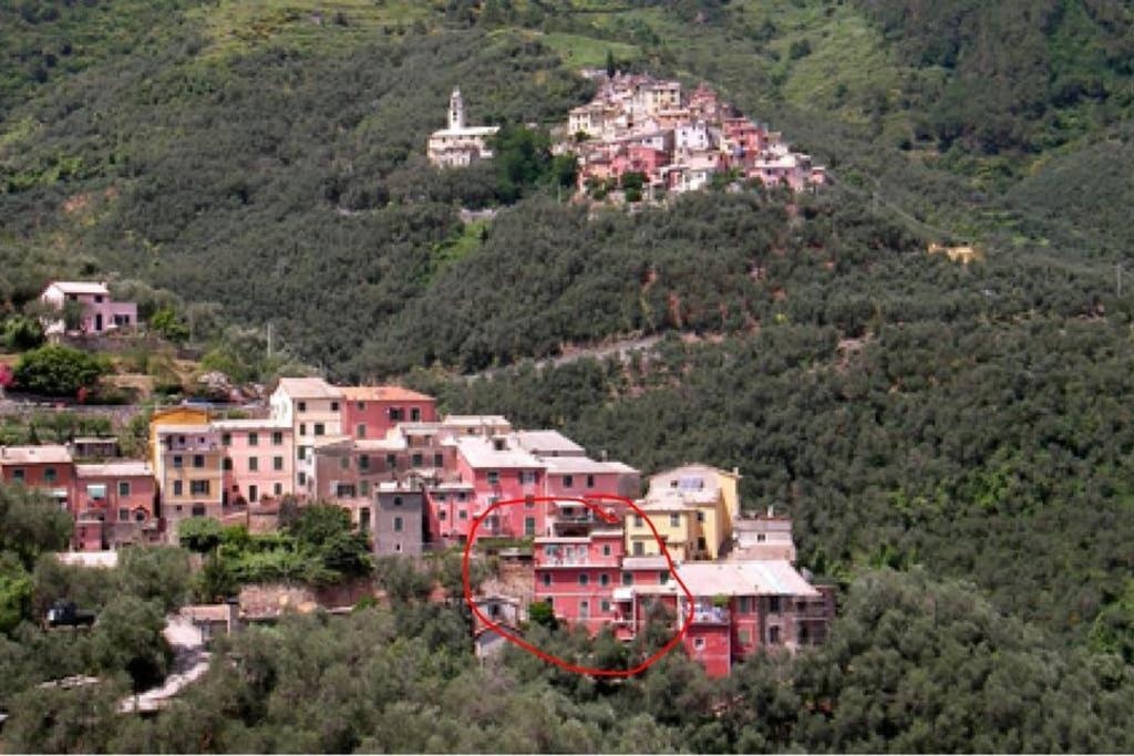 Le Case Della Lizza - Casa Rossa Levanto Eksteriør bilde