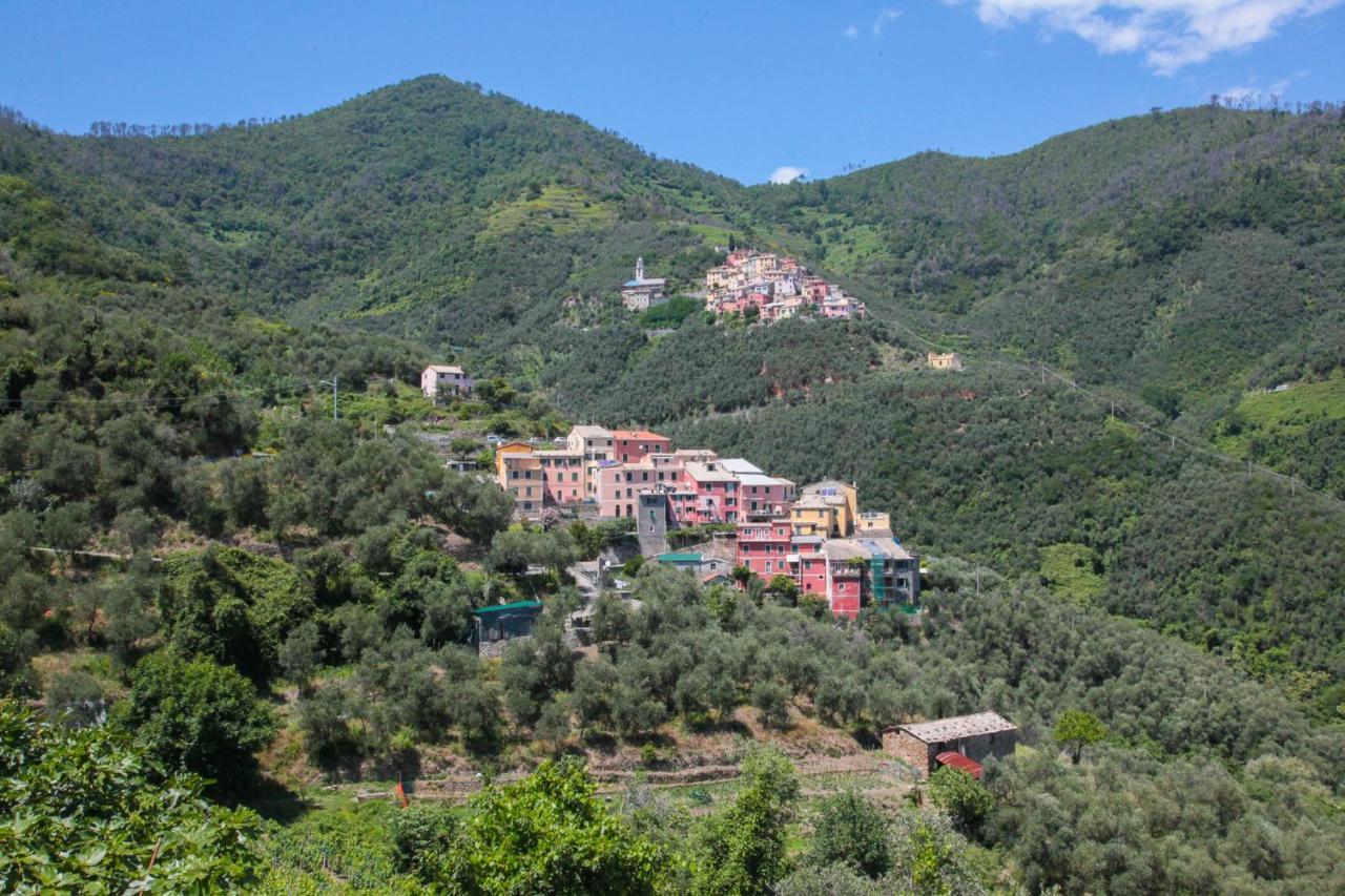 Le Case Della Lizza - Casa Rossa Levanto Eksteriør bilde